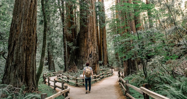Man in a forest in front of two different paths